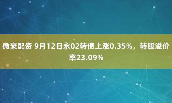 微豪配资 9月12日永02转债上涨0.35%，转股溢价率23.09%