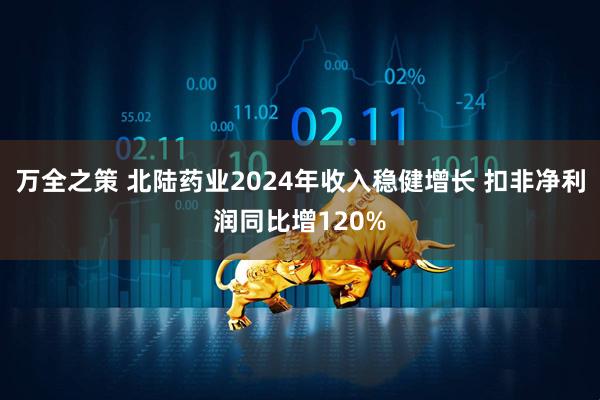 万全之策 北陆药业2024年收入稳健增长 扣非净利润同比增120%
