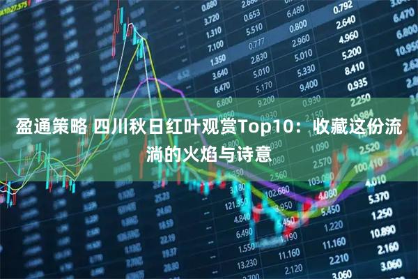 盈通策略 四川秋日红叶观赏Top10：收藏这份流淌的火焰与诗意