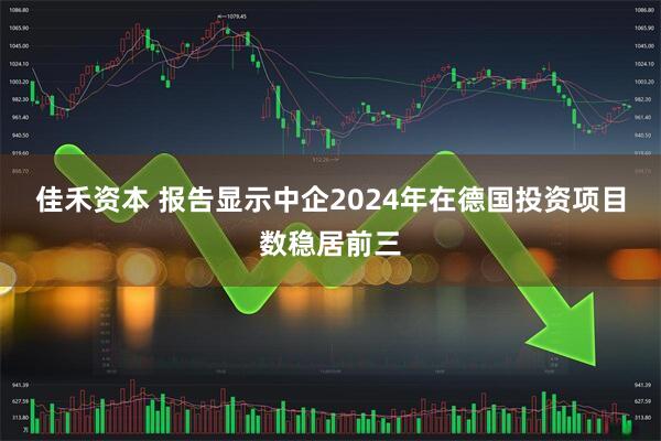 佳禾资本 报告显示中企2024年在德国投资项目数稳居前三