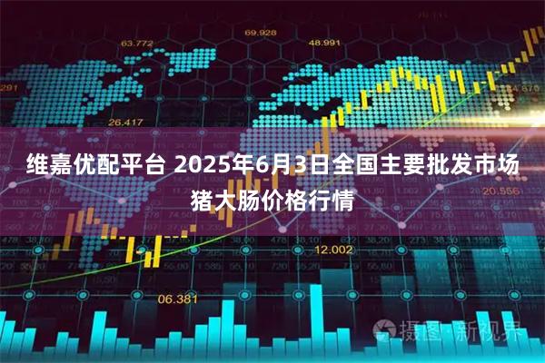 维嘉优配平台 2025年6月3日全国主要批发市场猪大肠价格行情