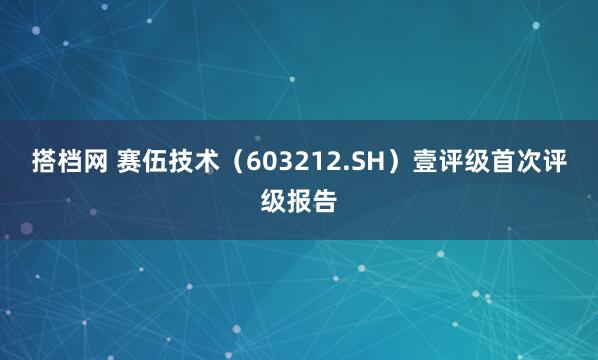搭档网 赛伍技术（603212.SH）壹评级首次评级报告
