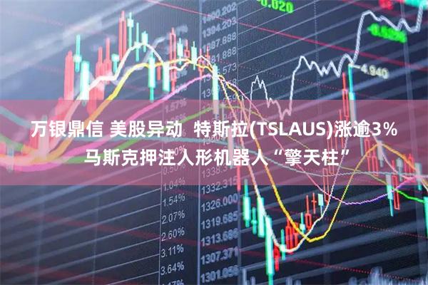 万银鼎信 美股异动  特斯拉(TSLAUS)涨逾3% 马斯克押注人形机器人“擎天柱”